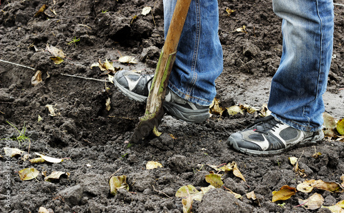 Man digging soil with garden shovel