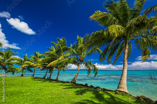 Tropical beach on north side of Samoa Island with palm trees