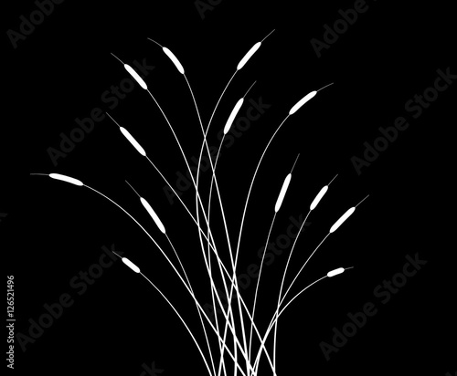 Cattails black and white simple silhouette abstract vector