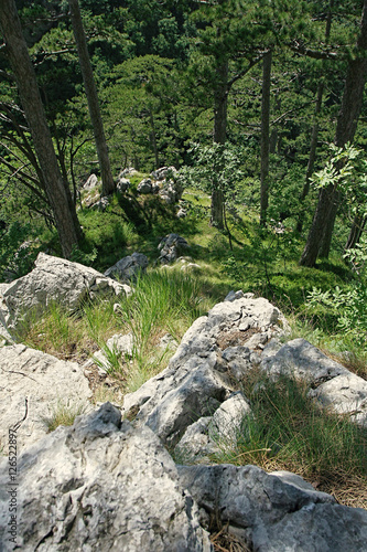 Mountain forest climbing track-Sunlit, steep Mountain trail viewed from the top, vertical