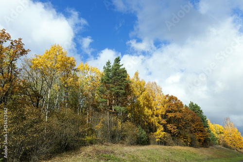 Nature in autumn season