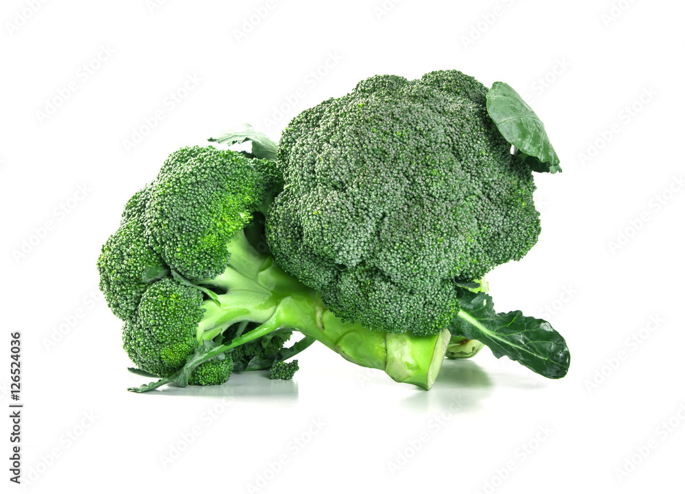 Fresh Broccoli on white background Fresh Broccoli on white background
