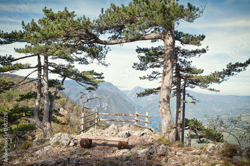 National park Tara mountain, Serbia photo