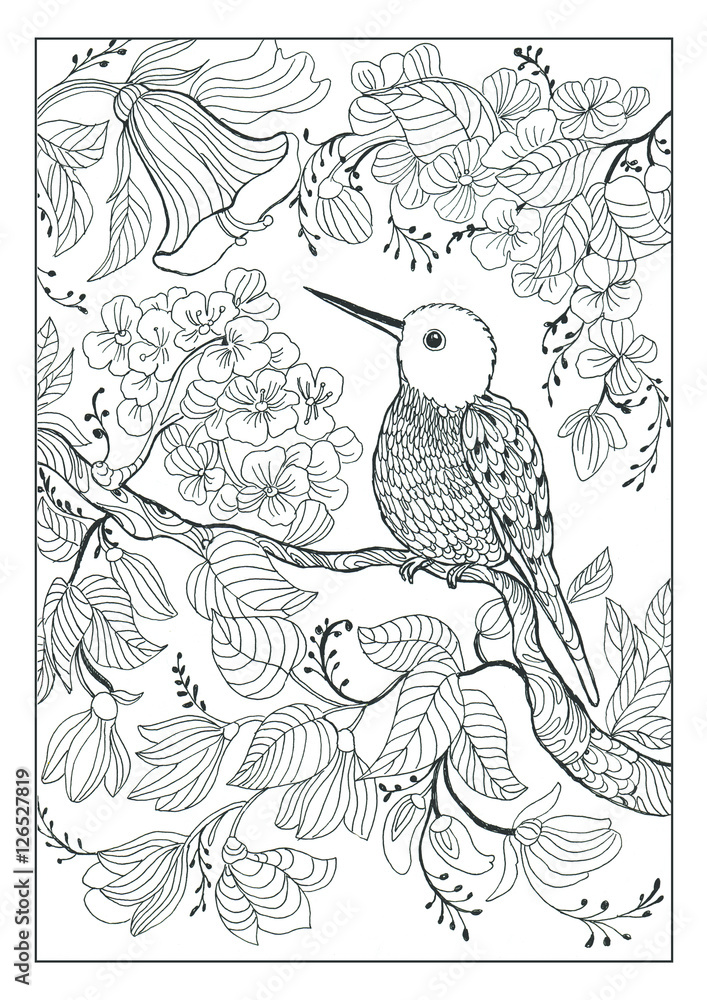 coloring book (20 pages ) , Bird and flowers page 14