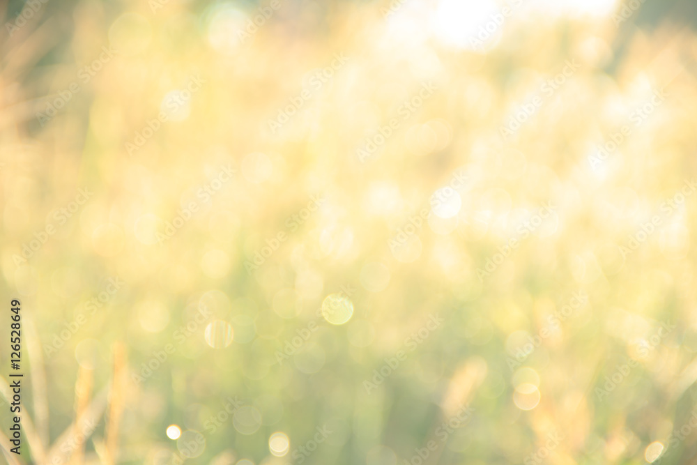Obraz premium golden bokeh