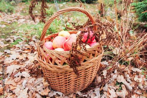 Apples and dried plants.