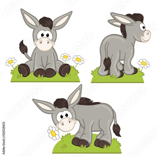 set of isolated donkey in meadow - vector illustration, eps
