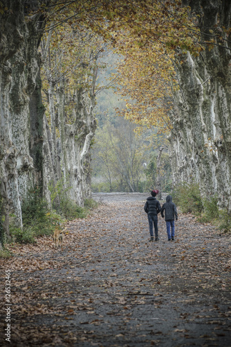 Friends walking on a country road in rural area surrounded by trees in autumn © berna_namoglu