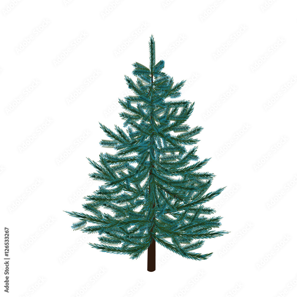 Blue fir tree. Christmas symbol. New Year. On a white background isolated illustration Blue fir tree. Christmas symbol. New Year. On a white background isolated illustration