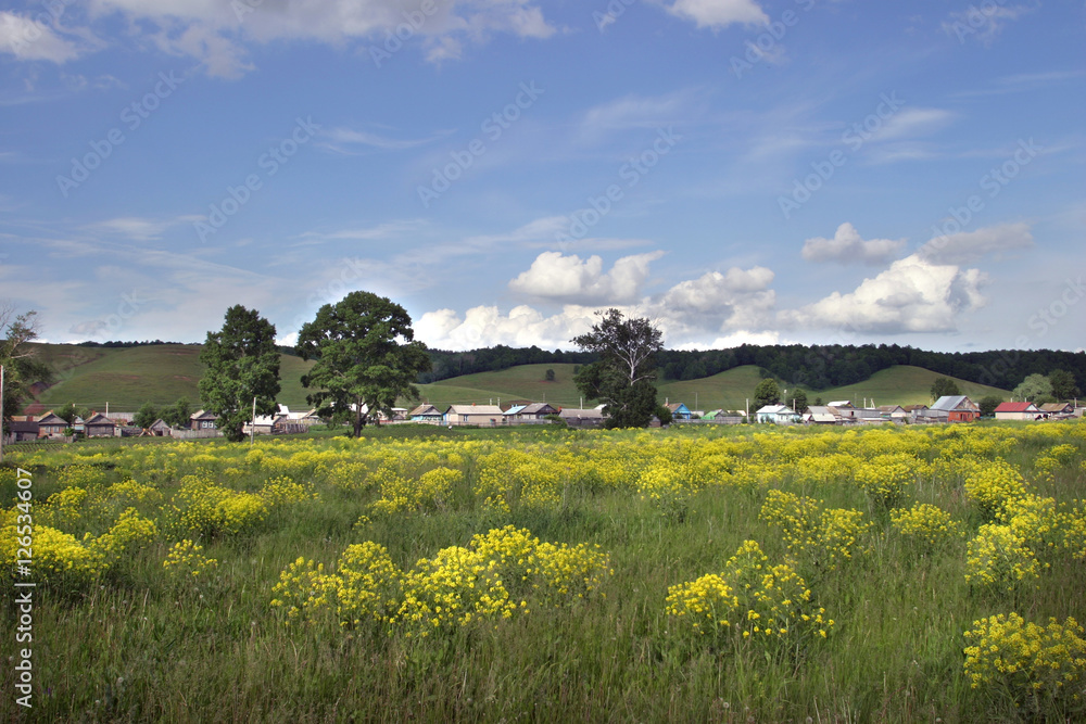 meadow on the outskirts of the village