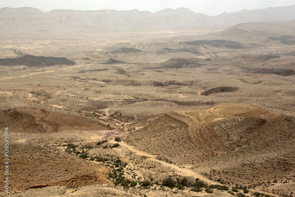 The Makhtesh Ramon crater. Israël.