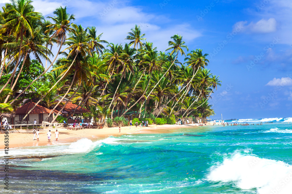 Obraz premium Tropical holidays in Sri lanka. Beautiful palm beach