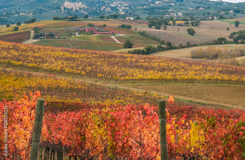 Gualdo Cattaneo tra le vigne in autunno