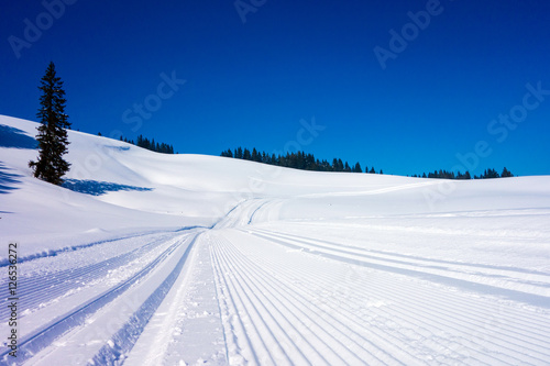 Foto Winterlandschaft mit Loipe