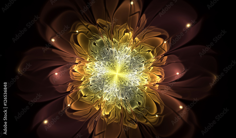 abstract flower fractal shape abstract flower fractal shape