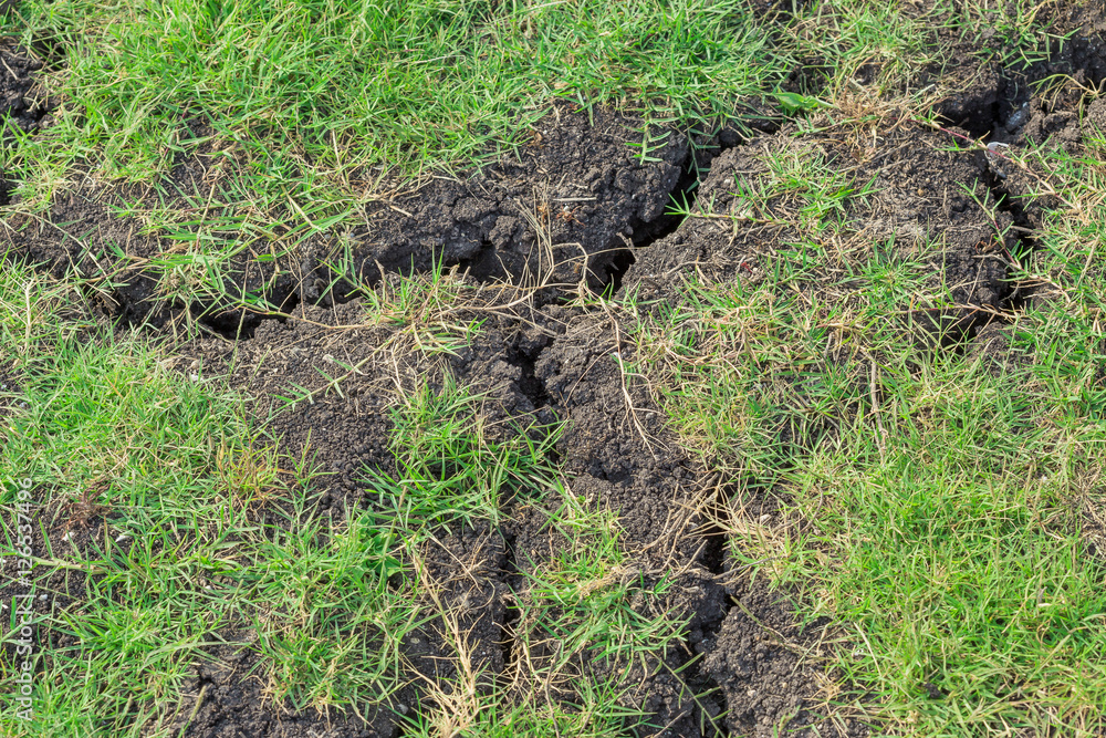 Dry soil with green grass texture background Dry soil with green grass texture background