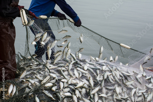 Fotobehang On the fisherman boat,Catching many fish at mouth of Bangpakong river in Chachengsao Province east of Thailand