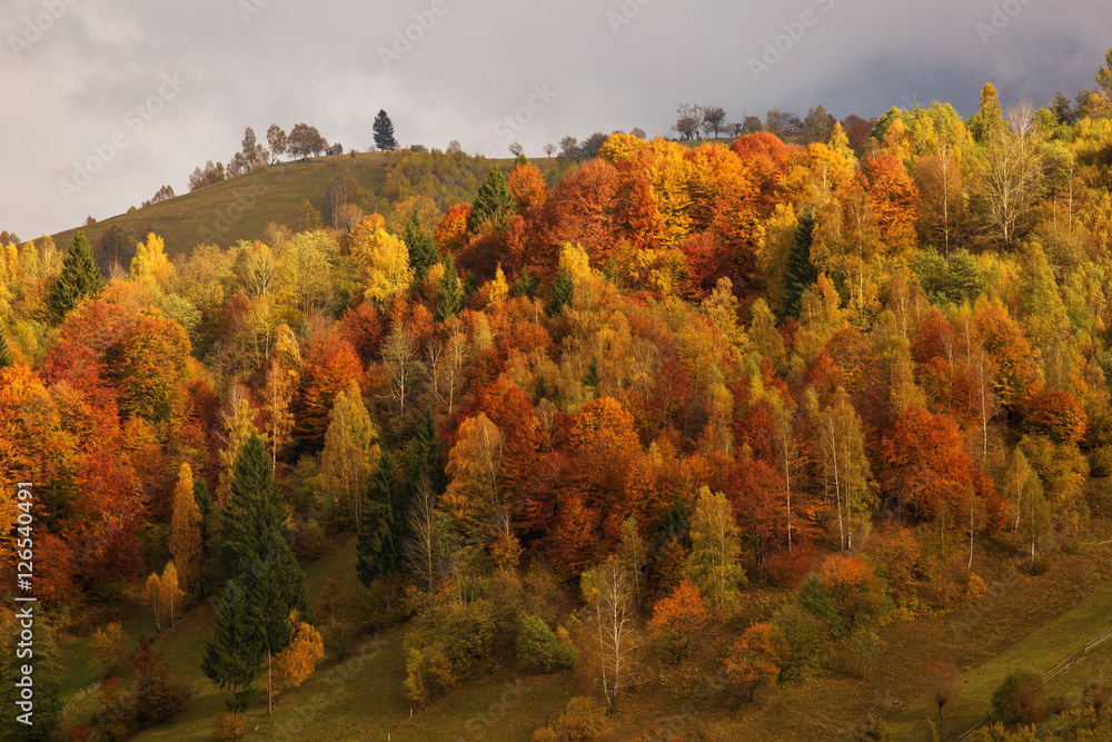 Autumn landscape hills in Romania County, traditional village