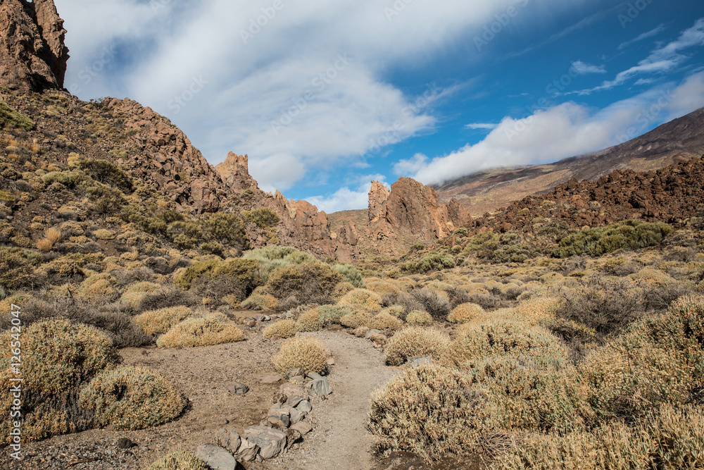 Fototapeta premium Los Roques de García (Tenerife - Espagne)