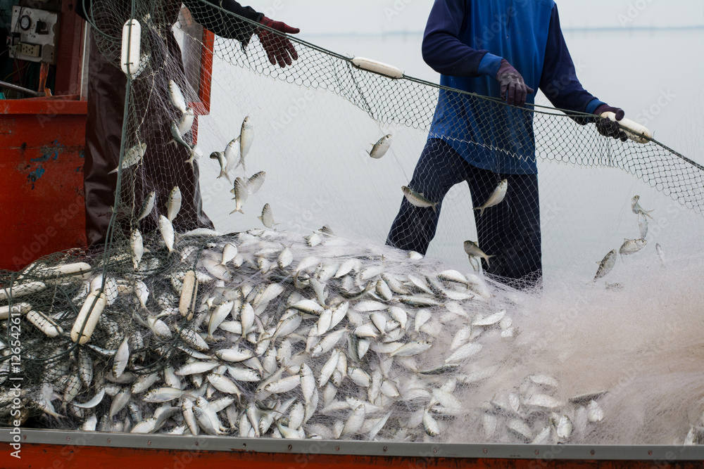Φωτογραφία On the fisherman boat,Catching many fish at mouth of Bangpakong river in Chachengsao Province east of Thailand