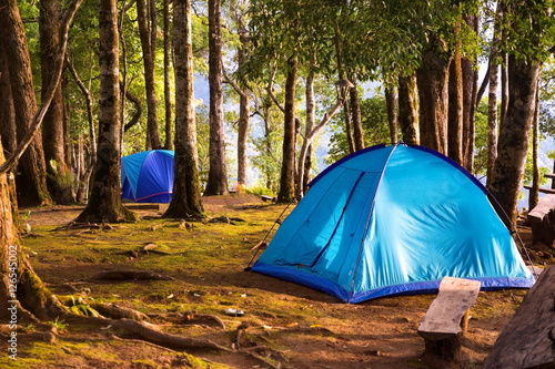 Two tents in the forest