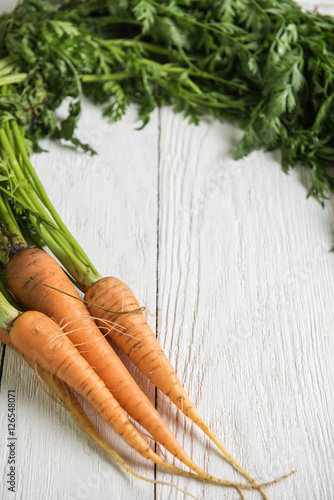 Freshly grown carrots
