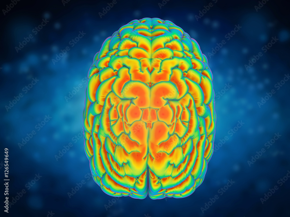 brain power concept brain power concept