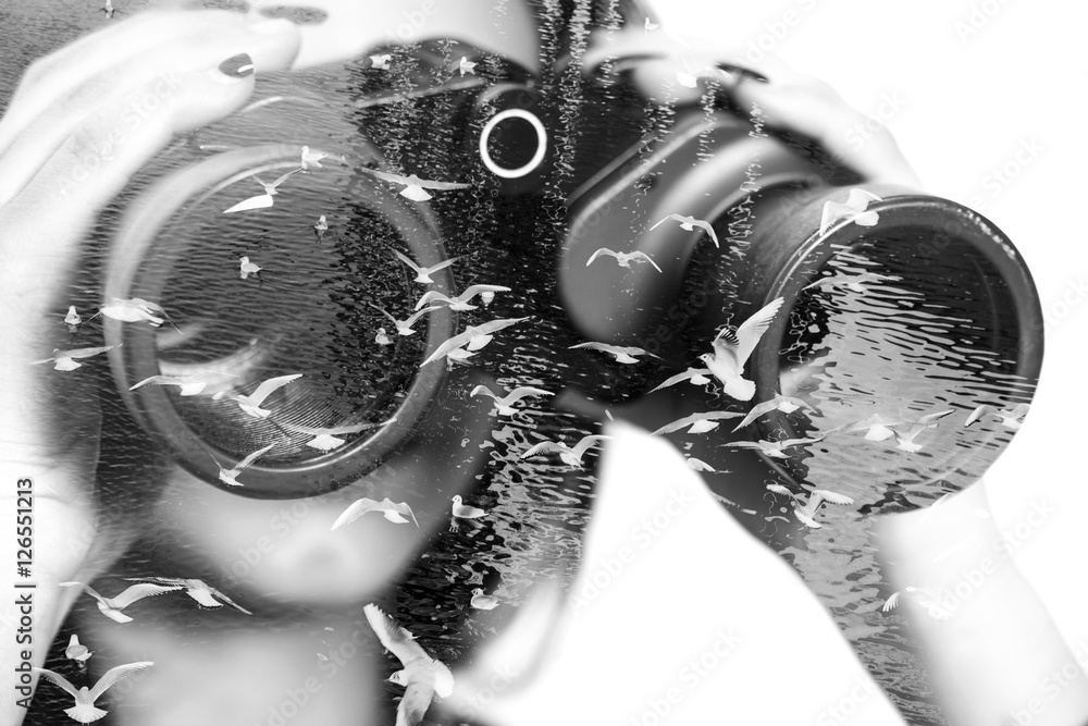 Naklejka premium Monochrome double exposure of binoculars and seagulls
