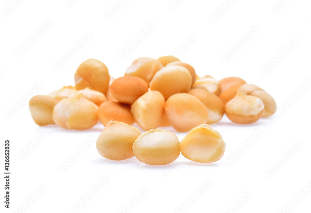 macadamia nuts isolated on white background macadamia nuts isolated on white background