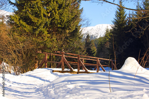 Winter landscape with forest and river photo