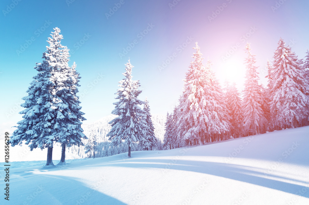 Fototapeta premium Dramatic wintry scene