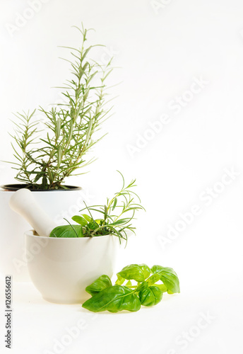 Healthy herbs in white ceramic mortar and a potted rosemary isolated on white 