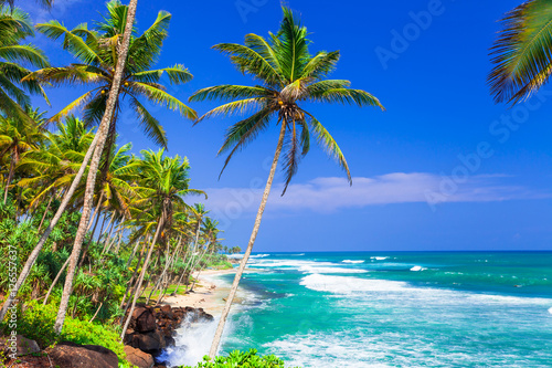 Wild tropical beaches of Sri Lanka