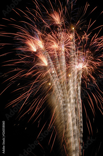 Fireworks in night sky