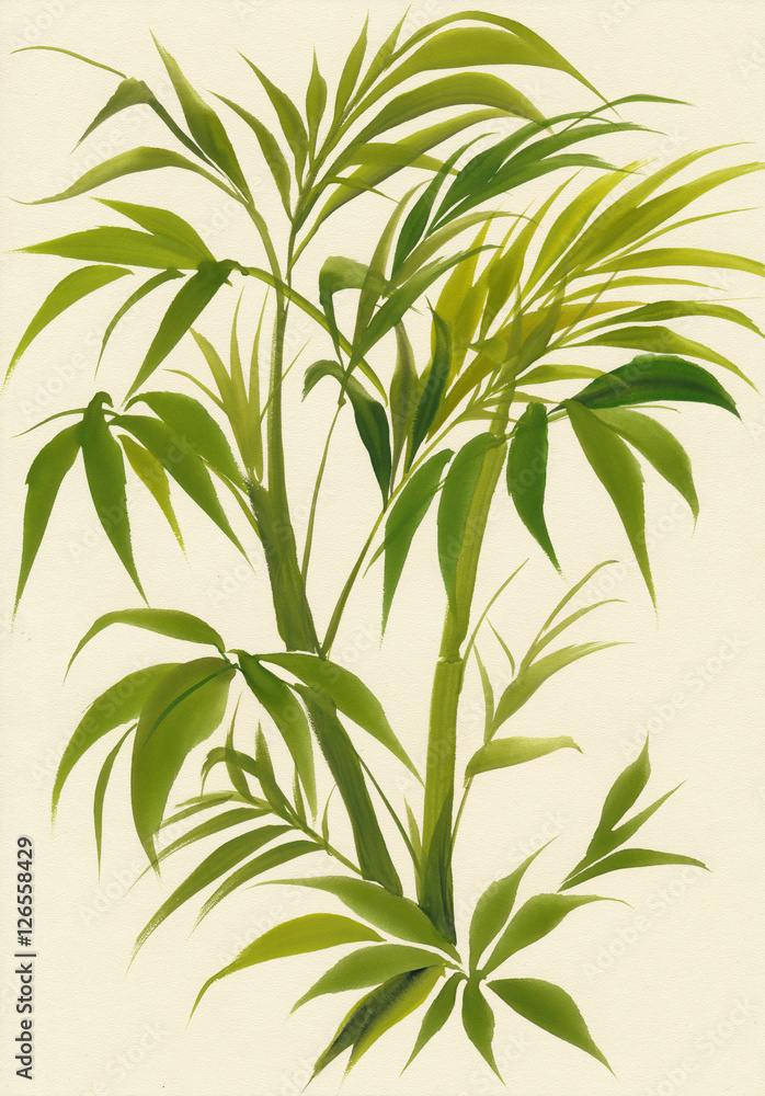 Original and stylish watercolor painting of palm bamboo