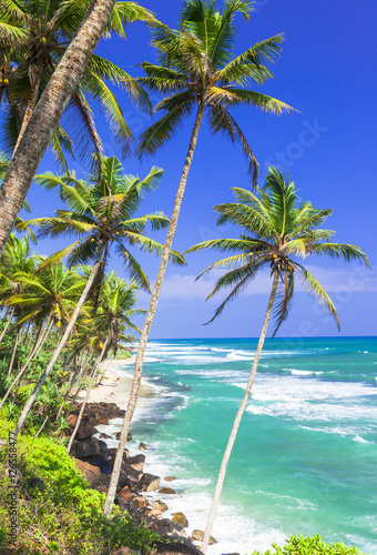 Beautiful wild tropical beaches of Sri Lanka