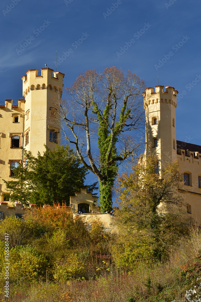 Hohenschwangau Castle, Towers