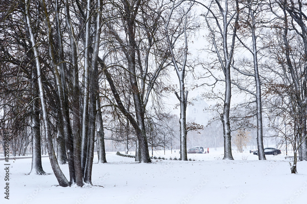 Snowfall in the city streets