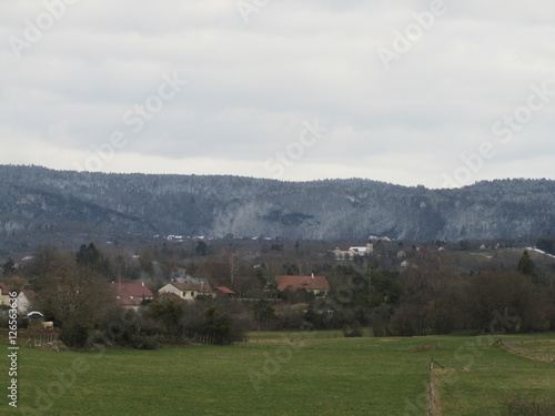 NATIURE VERTE photo