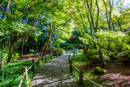 Japanese Garden