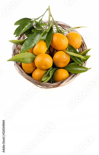Mandalina