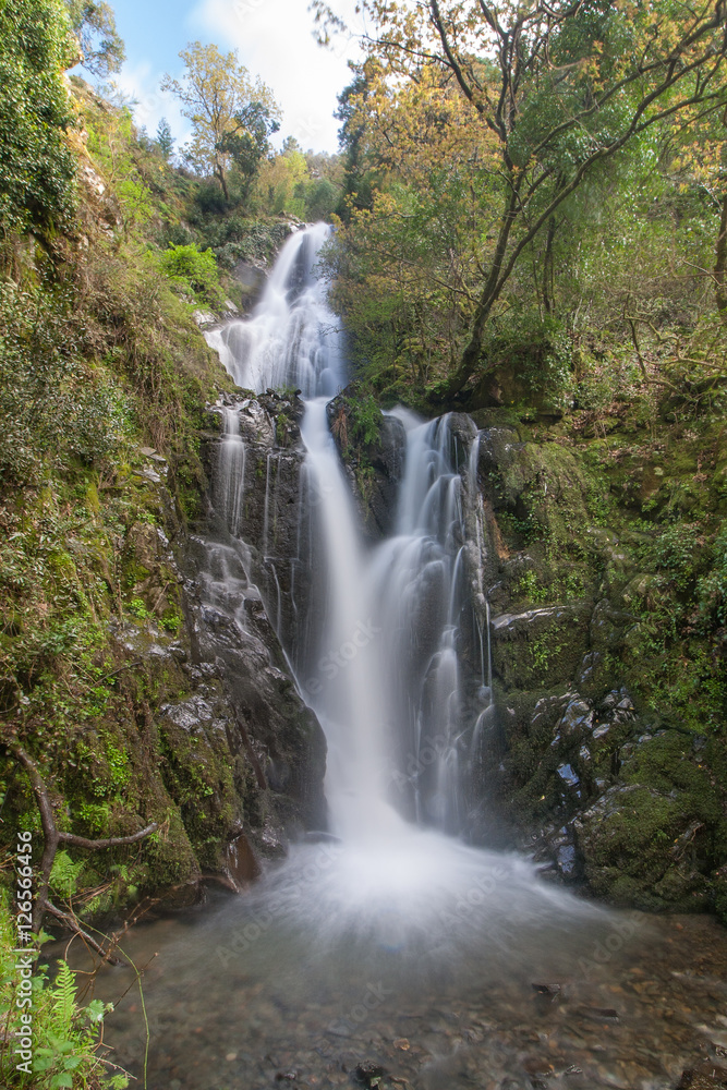 Fototapeta premium Natural waterfall in the mountains