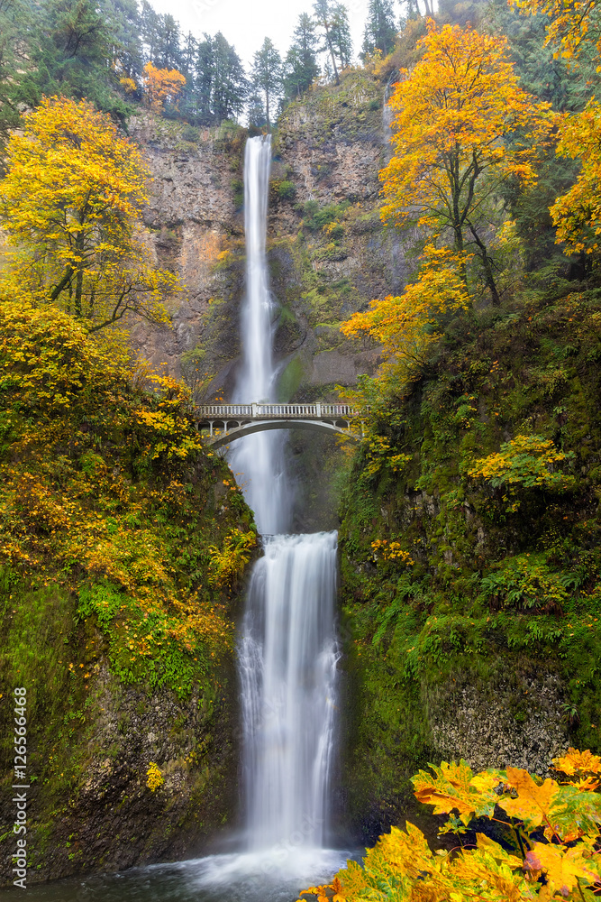 Fototapeta premium Fall Colors at Multnomah Falls