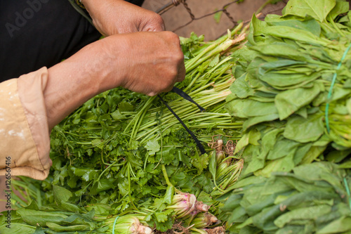 Female hand tight bundles of fresh spinach put on sell in fresh market, Dalat, Vietnam