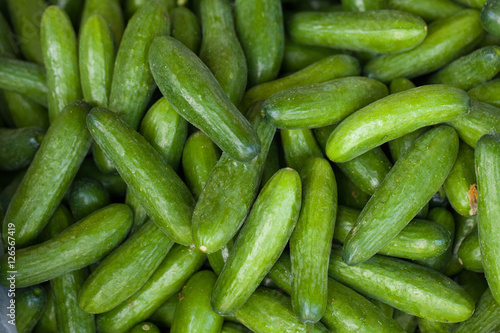 Texture of green cucumber at the market, Vietnam