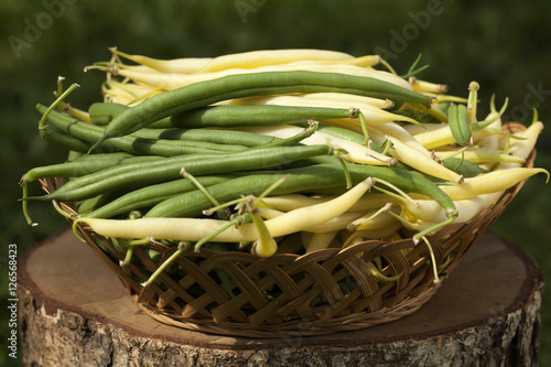 bean in basket