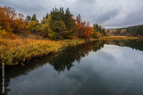Autumn forest and nature colours
