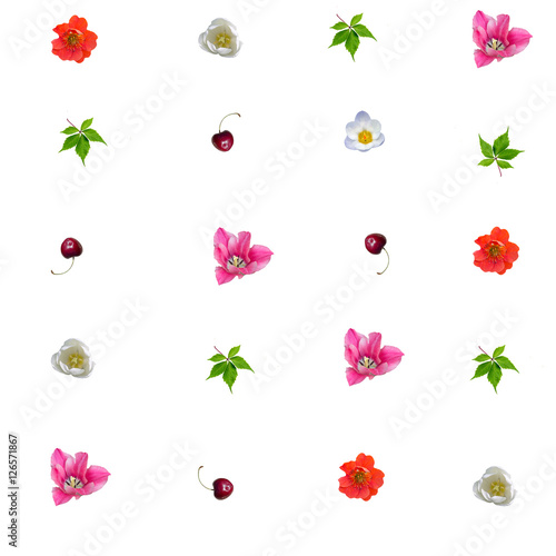 Seamless floral pattern with summer flowers and cherries