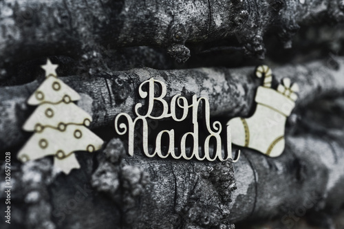 Canvas Print bon nadal, merry christmas in catalan language