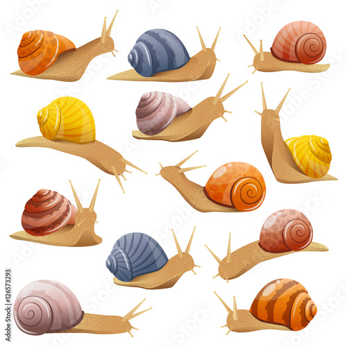 Decorative Snails Set